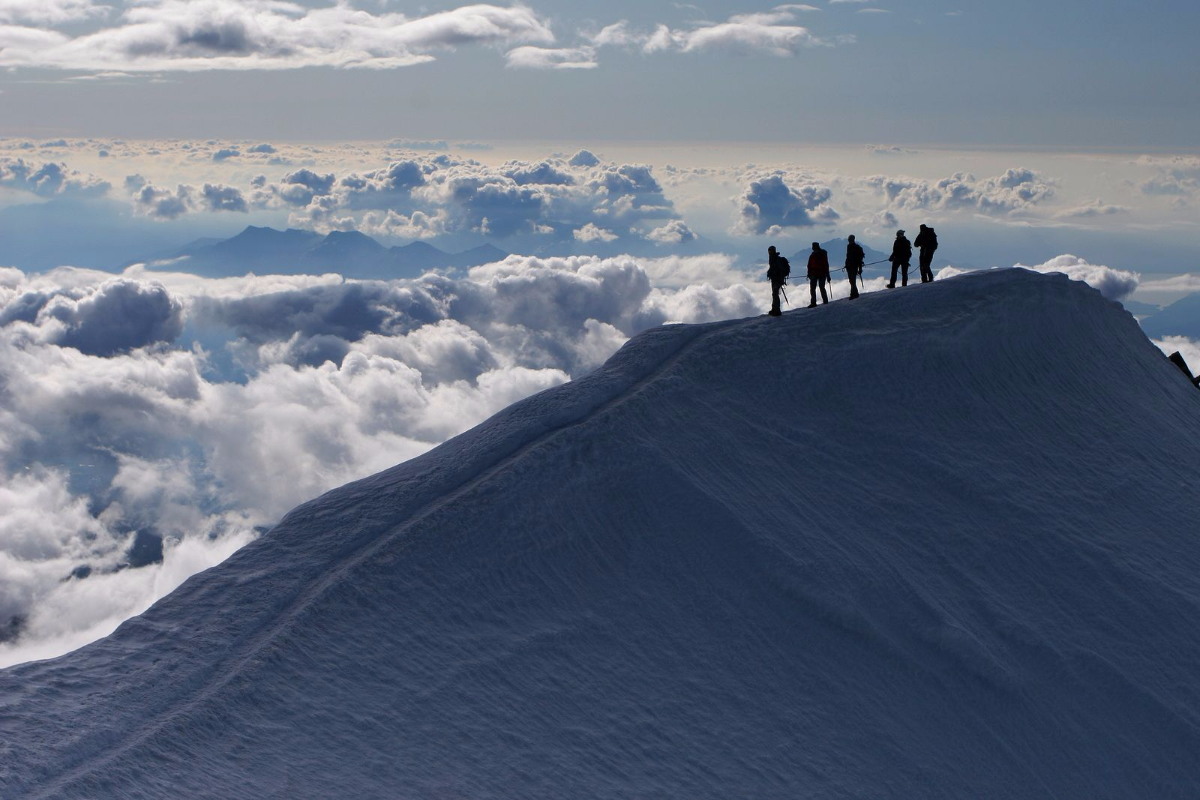 You Need a Sherpa to Achieve Business Stardom